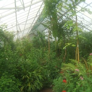 Butterfly World Stockton 27/4/2017