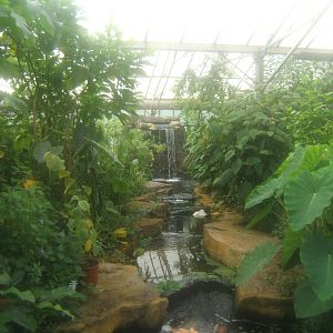 Butterfly World Stockton 27/4/2017