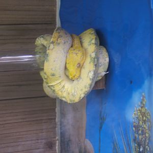 Butterfly World Stockton 27/4/2017