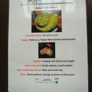 Butterfly World Stockton 27/4/2017