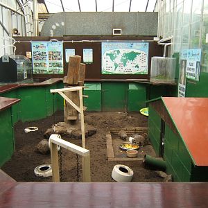 Butterfly World Stockton 27/4/2017