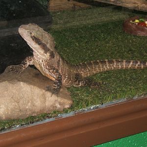 Butterfly World Stockton 27/4/2017