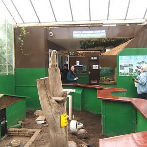 Butterfly World Stockton 27/4/2017