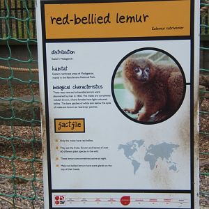 28/4/2017 Signage style