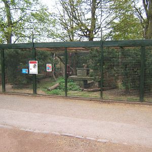 28/4/2017 View of Scottish Wildcat enclosure