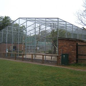 28/4/2017 View of Hyacinth Macaw Aviary