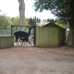 28/4/2017 Gates to the former Deer walk through