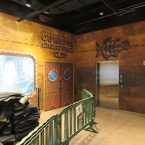 Curious Creatures Exit