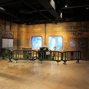 Curoius Creatures Exit