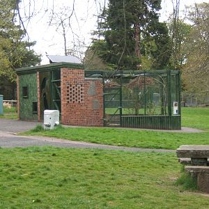 28/4/2017 View of Rothschilds Grackle enclosure