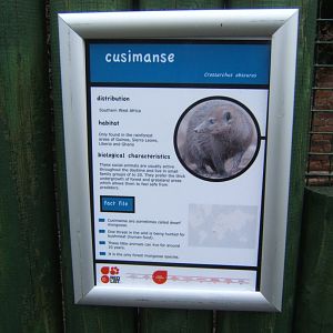 28/4/2017 Signage style