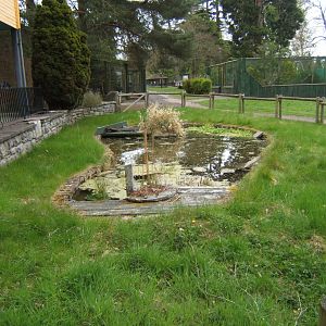 28/4/2017 View of pond