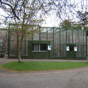 28/4/2017 View of Marmoset and Tamarin enclosures