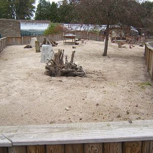 28/4/2017 View of Meerkat enclosure
