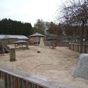 28/4/2017 View of Meerkat enclosure