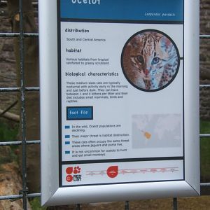 28/4/2017 Signage style