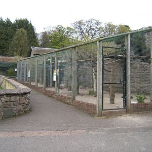 28/4/2017 View towards Nocturnal House