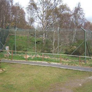28/4/2017 View of Lynx enclosure
