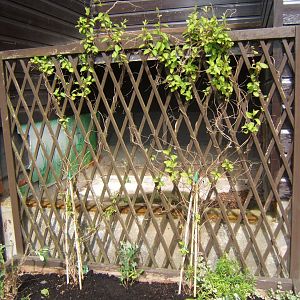 28/4/2017 Location of the former Reptile exhibit