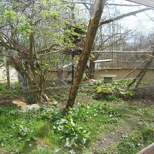28/4/2017 View of Red Panda enclosure