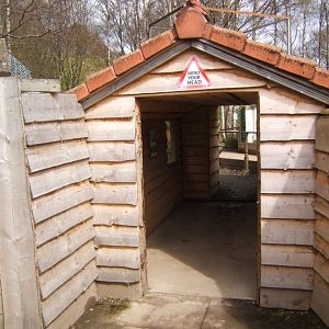 28/4/2017 View of Red Panda enclosure