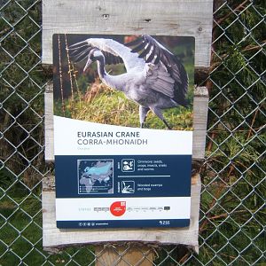 28/4/2017 Signage style