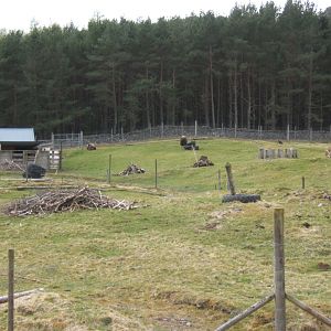 28/4/2017 View of Musk Ox enclosure