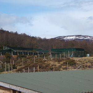 28/4/2017 View of the off show Amur Leopard enclosure