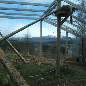 28/4/2017 View of part of the Snow Leopard enclosure