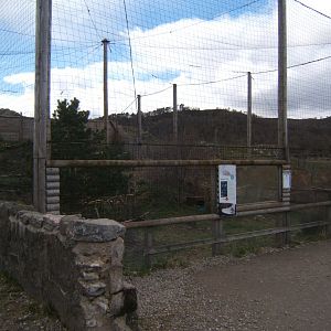 28/4/2017 View of the Snowy Owl aviary