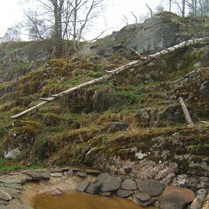 28/4/2017 View of another part of the Snow Leopard enclosure