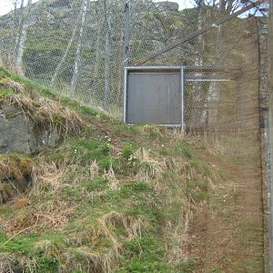 28/4/2017 View of the door used to let the Markhor into the Snow Leopard enclosure