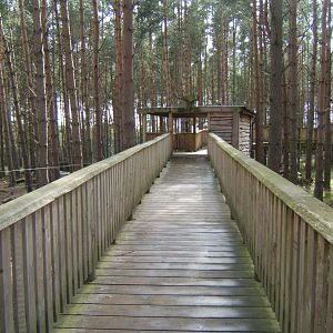 28/4/2017 View towards the Forest Reindeer viewing