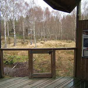 28/4/2017 View of the European Beaver enclosure