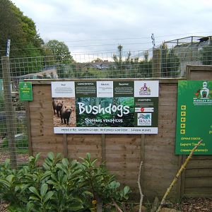 29/4/2017 View of Bush Dog enclosure