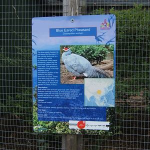 29/4/2017 Signage style