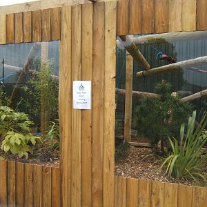 29/4/2017 View of new Common Palm Civet enclosure