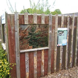 29/4/2017 Currently empty enclosure