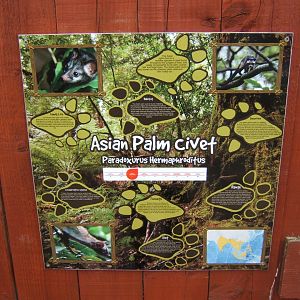 29/4/2017 Signage style