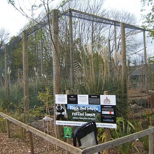 29/4/2017 View of Black and White Ruffed Lemur enclosure