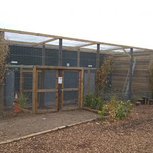 29/4/2017 View of future Lorikeet walk through