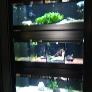 29/4/2017 View of part of Aquarium