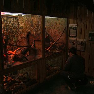 29/4/2017 View of part of the Herp exhibits