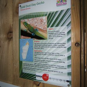 29/4/2017 Signage style