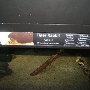 29/4/2017 Signage style