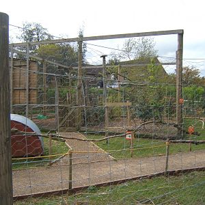 29/4/2017 View of part of Australian Walk through