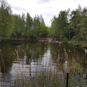 Temporary Sea-lion-enclosure