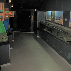 Fiskeri- og Søfartsmuseet - General view of aquarium
