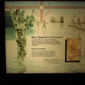 What Happened To The Calusa?