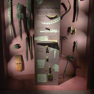 Gems From Shell & Bone